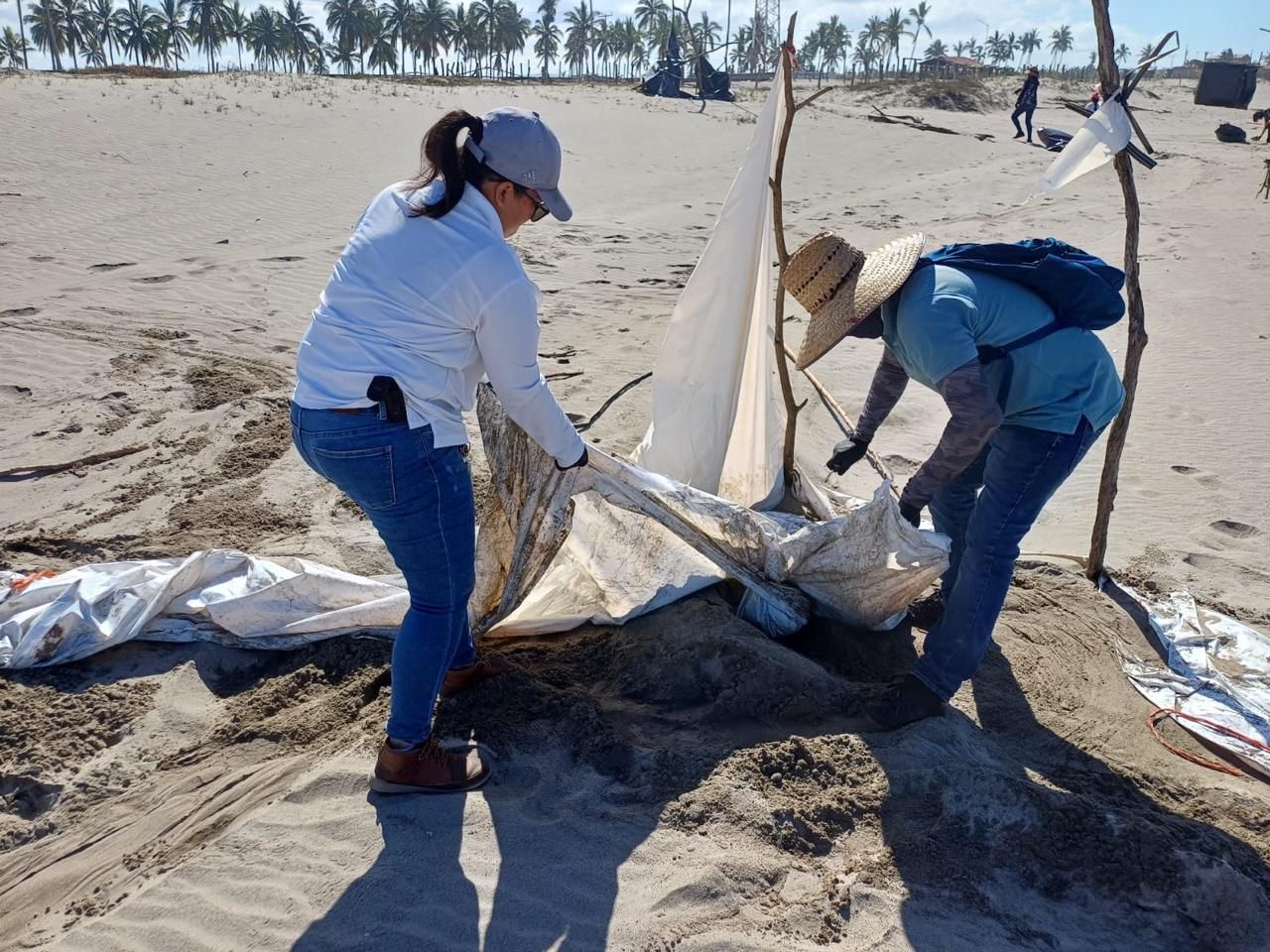 Ayuntamiento de Rosario realiza jornada de limpieza en Playa El Caimanero en conmemoración del Día de la Madre Tierra.